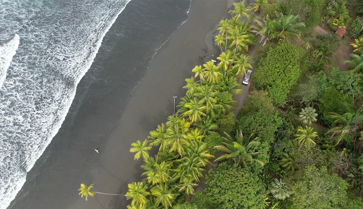 walk-to-world-class-left-point-lot-palm-trees