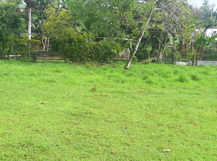 punta-banco-pavones-beach-lot-for-sale