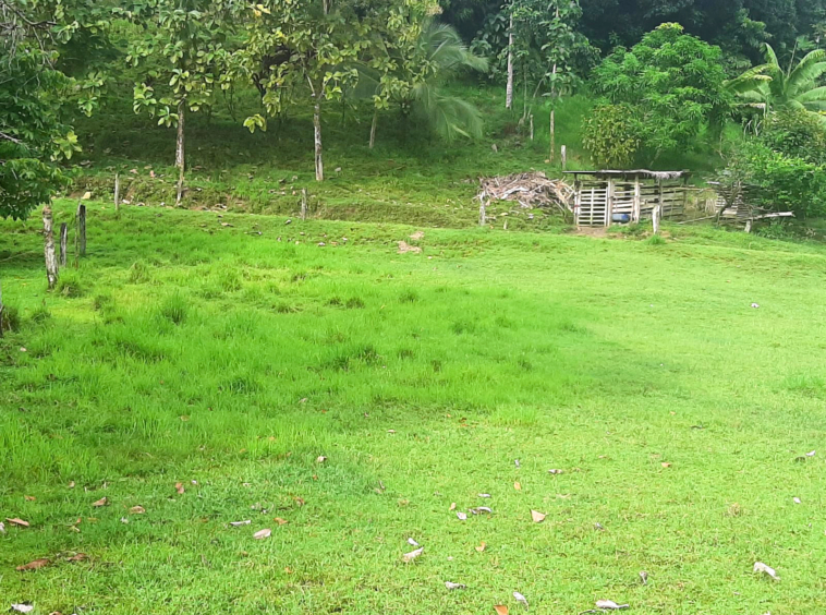 punta-banco-pavones-beach-lot-for-sale