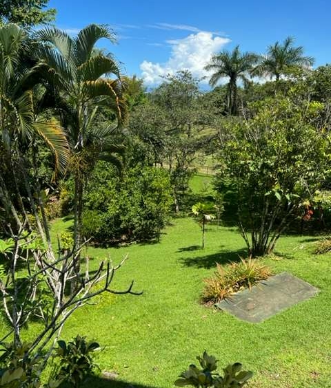 tropical-luxury-pavones-villa