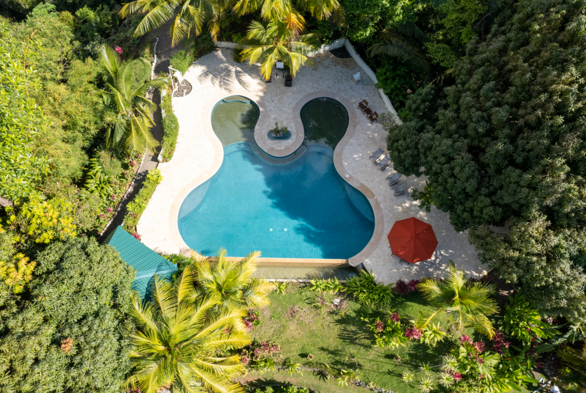 ultimate-eco-lodge-laguna-vista-surrounded-by-natural-lagoon-osa-peninsula