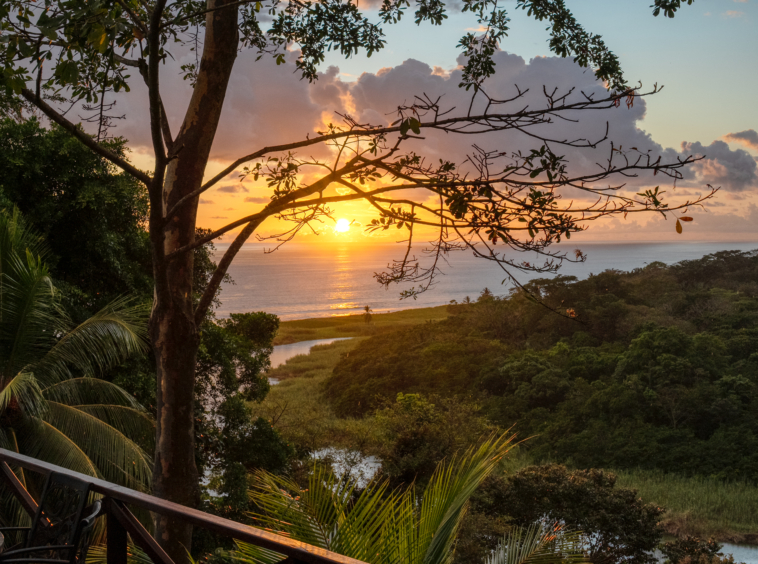 ultimate-eco-lodge-laguna-vista-surrounded-by-natural-lagoon-osa-peninsula
