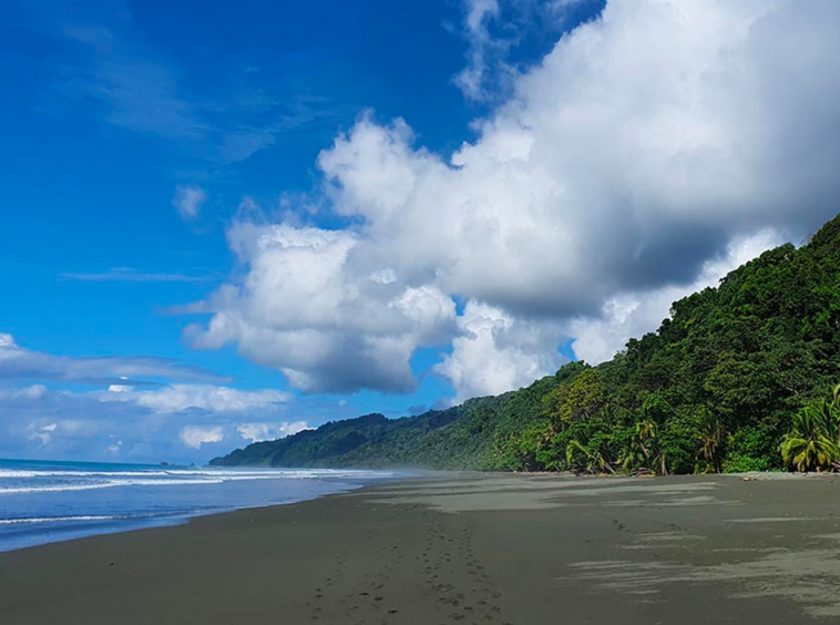ultimate-eco-lodge-laguna-vista-surrounded-by-natural-lagoon-osa-peninsula