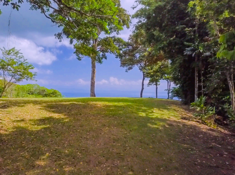 75-acres-matapalo-costa-rica