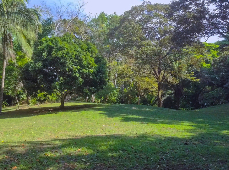 75-acres-matapalo-costa-rica