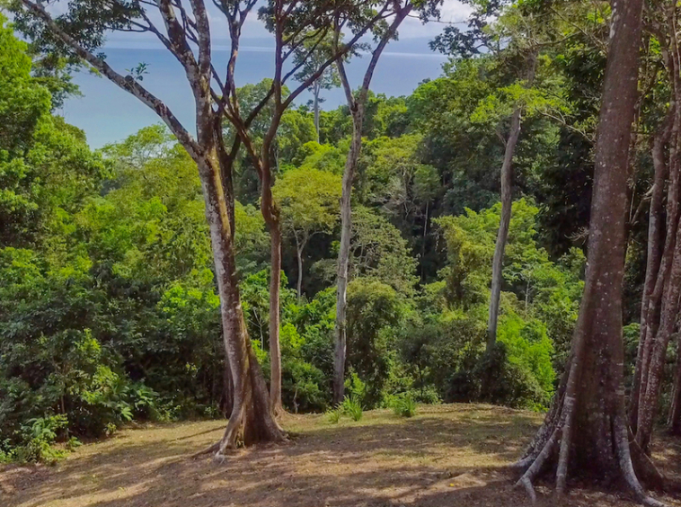 75-acres-matapalo-costa-rica