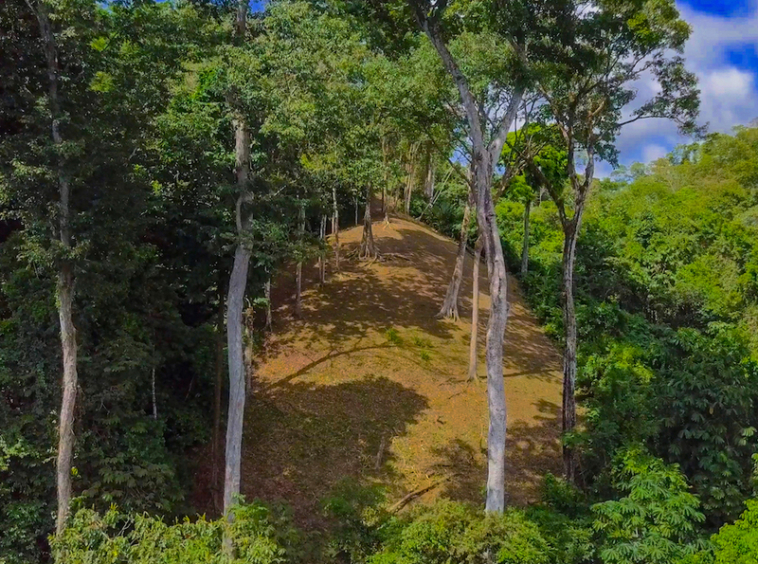 75-acres-matapalo-costa-rica