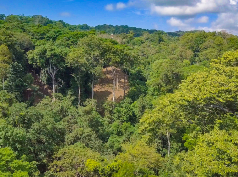 75-acres-matapalo-costa-rica