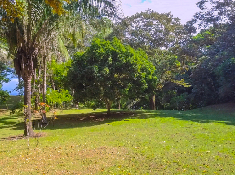 75-acres-matapalo-costa-rica