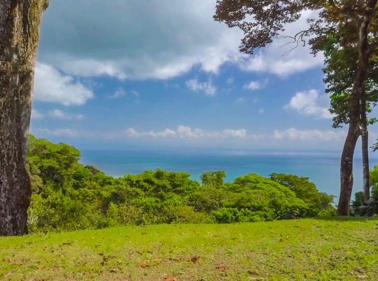75-acres-matapalo-costa-rica