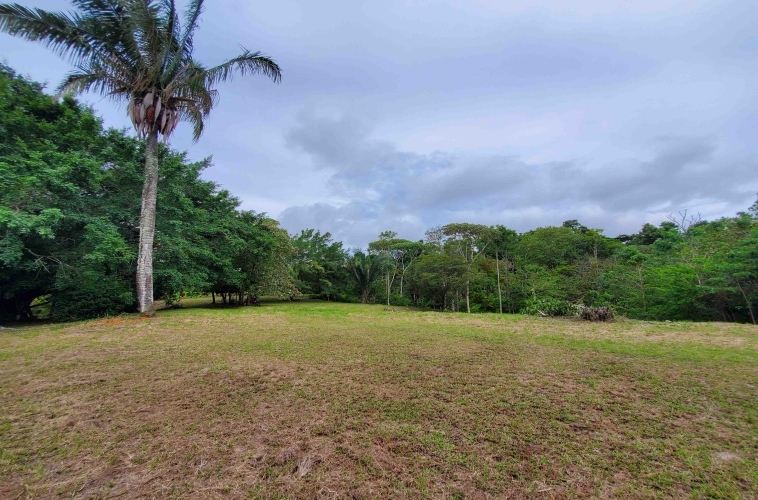 agua-buena-de-pavones-lot-for-sale