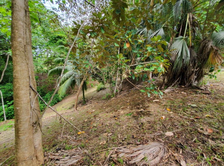 agua-buena-de-pavones-lot-for-sale