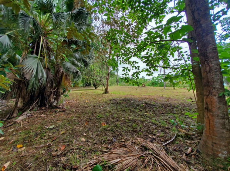agua-buena-de-pavones-lot-for-sale