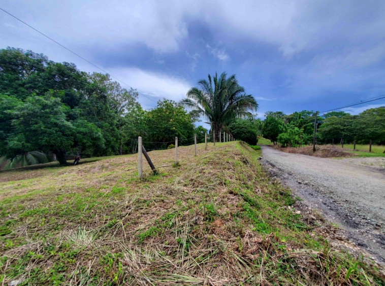 agua-buena-de-pavones-lot-for-sale
