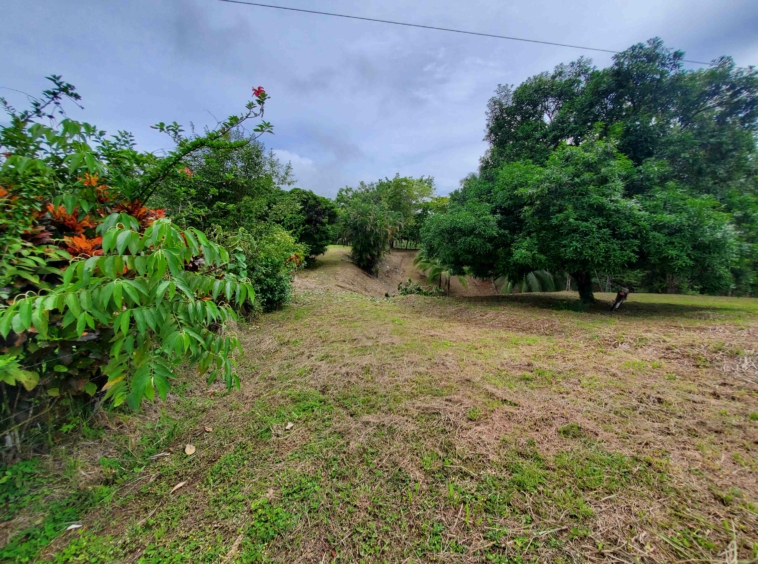 agua-buena-de-pavones-lot-for-sale