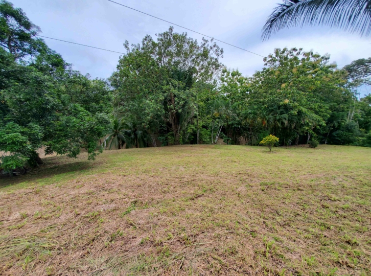 agua-buena-de-pavones-lot-for-sale