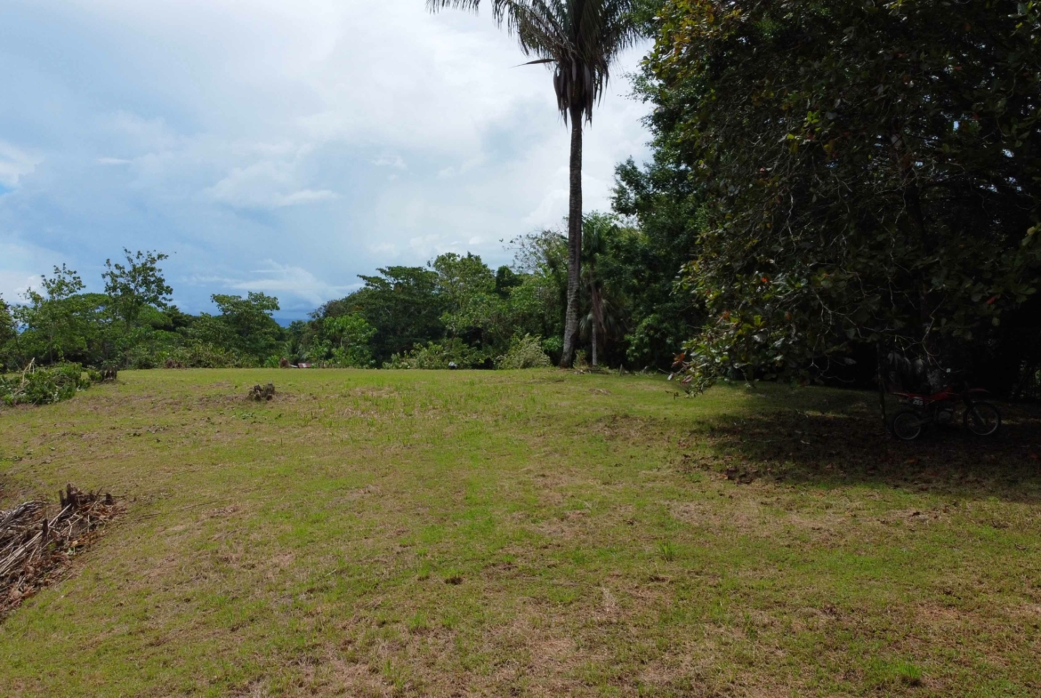 agua-buena-de-pavones-lot-for-sale