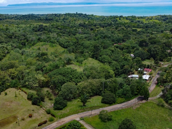 agua-buena-de-pavones-lot-for-sale