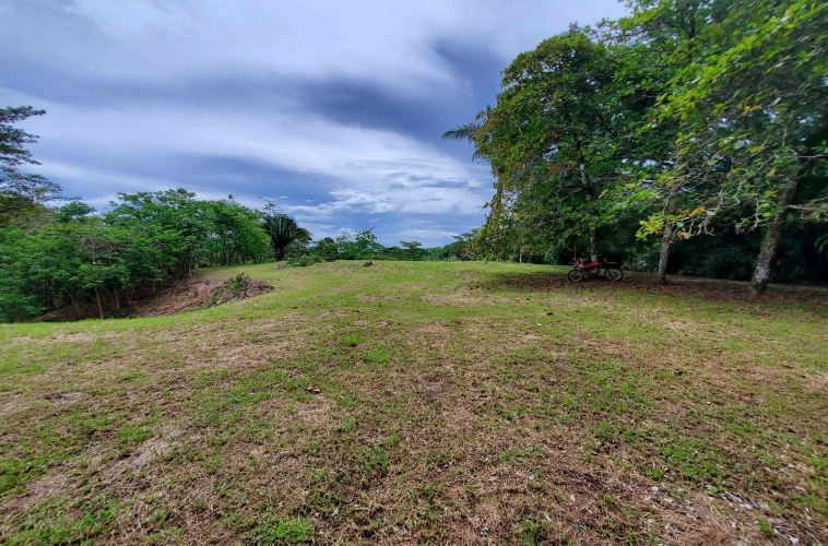 agua-buena-de-pavones-lot-for-sale