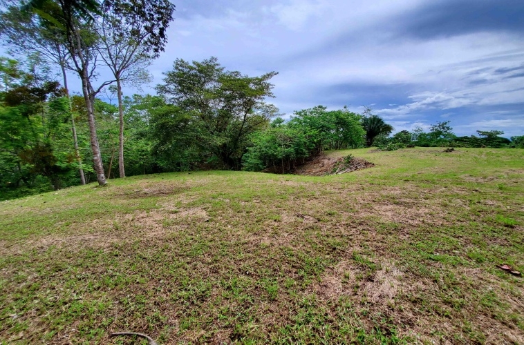 agua-buena-de-pavones-lot-for-sale