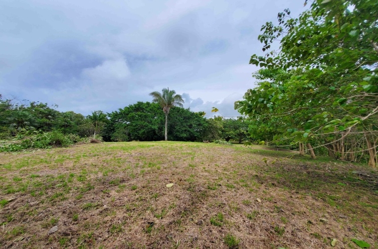 agua-buena-de-pavones-lot-for-sale