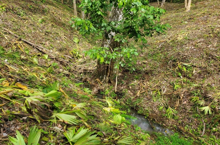 agua-buena-de-pavones-lot-for-sale