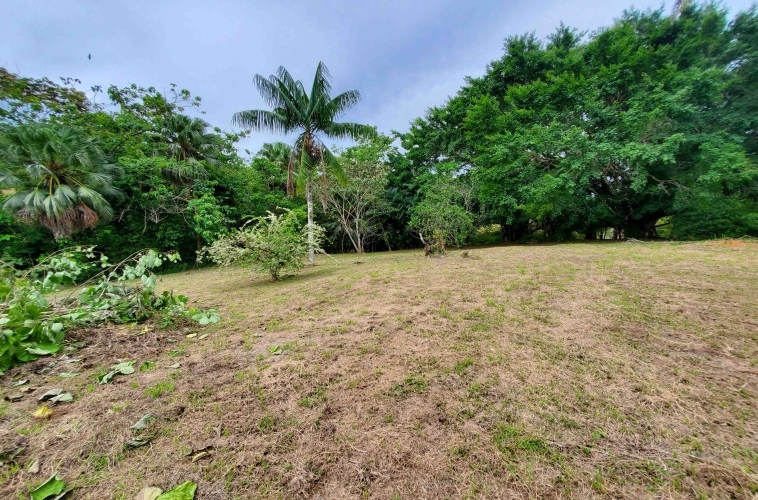 agua-buena-de-pavones-lot-for-sale