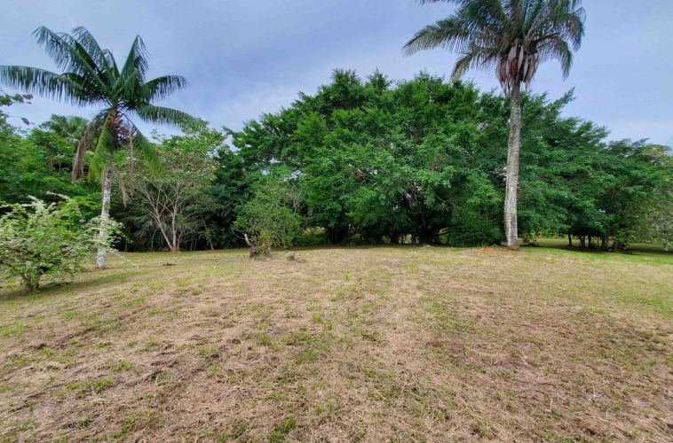 agua-buena-de-pavones-lot-for-sale