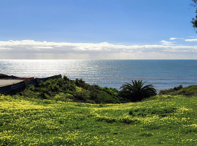 capistrano-beach-massive-ocean-view-lots