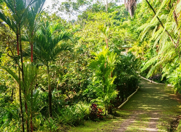 costa-rica-ocean-view-home-secluded-waterfall