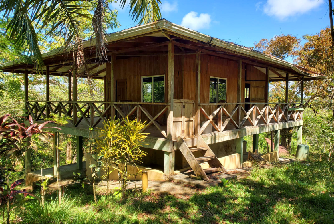 finca-caballo-blanco-pavones