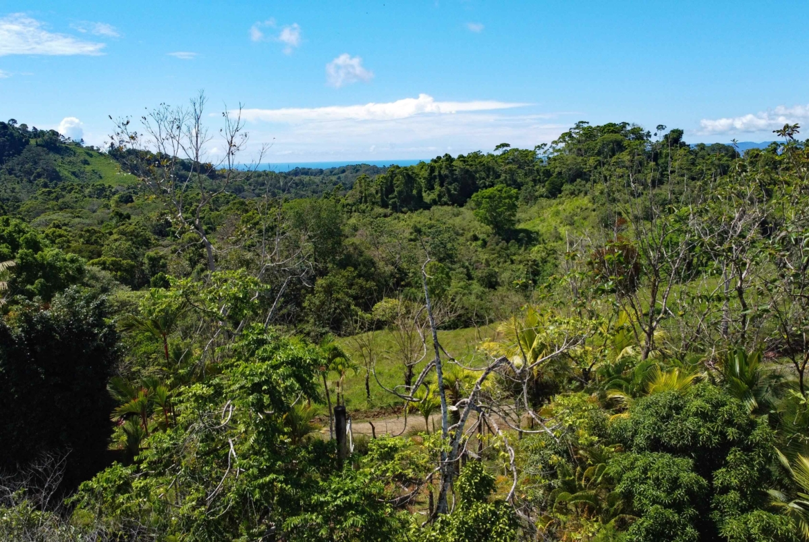 finca-caballo-blanco-pavones