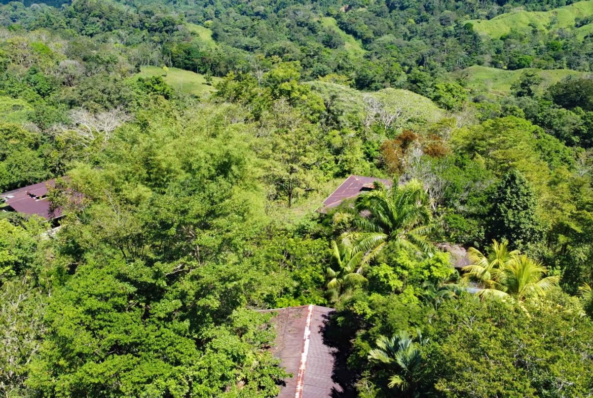 finca-caballo-blanco-pavones