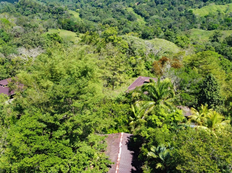finca-caballo-blanco-pavones