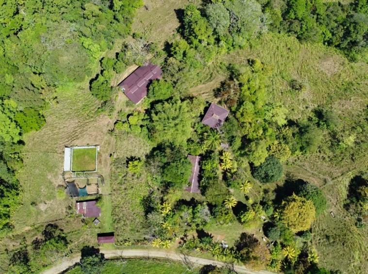 finca-caballo-blanco-pavones