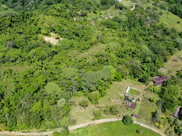 finca-caballo-blanco-pavones