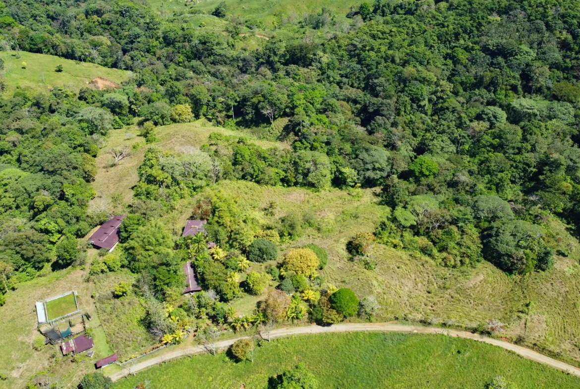 finca-caballo-blanco-pavones