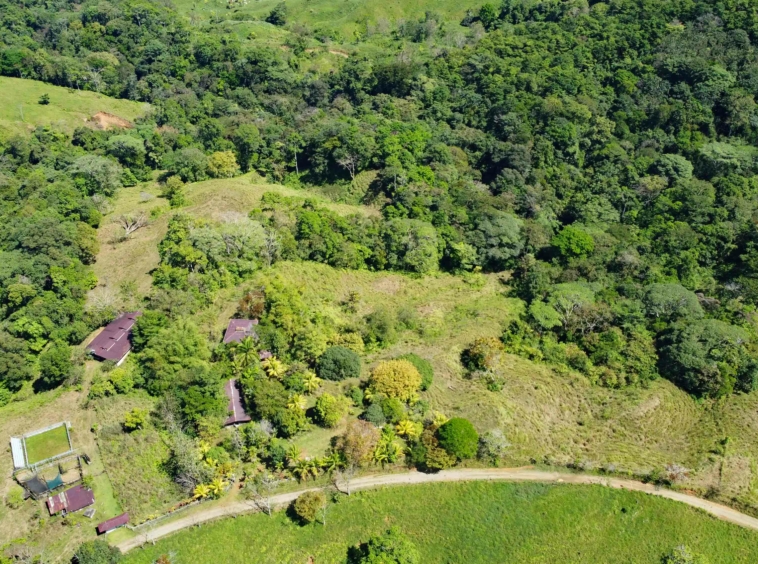 finca-caballo-blanco-pavones