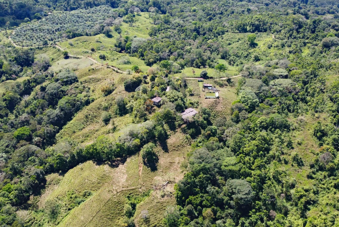 finca-caballo-blanco-pavones