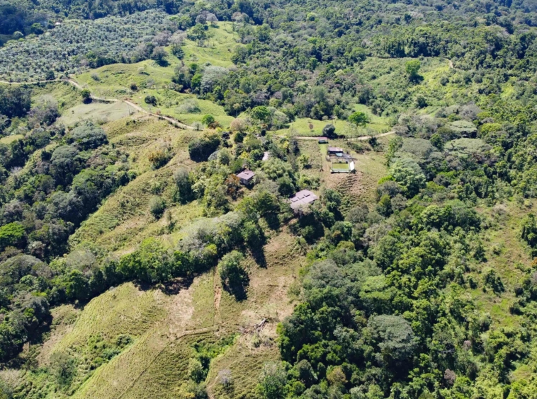 finca-caballo-blanco-pavones