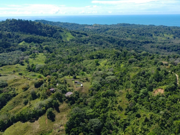 finca-caballo-blanco-pavones