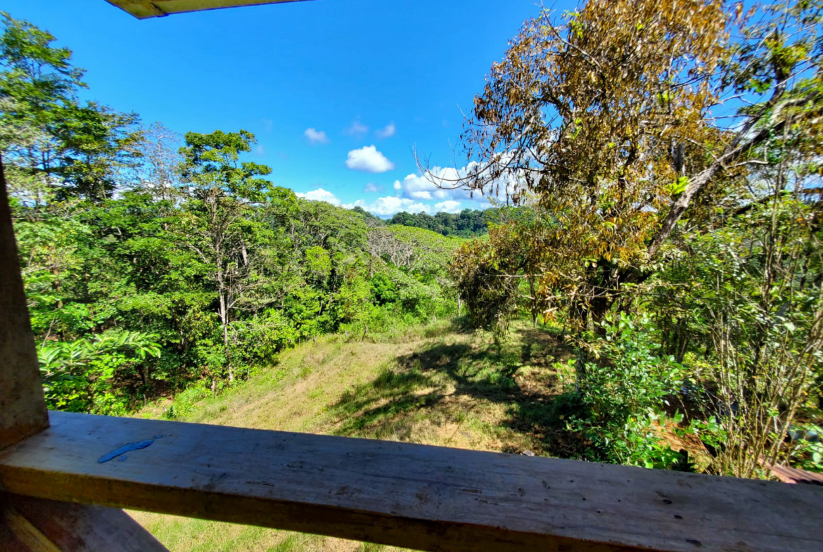 finca-caballo-blanco-pavones