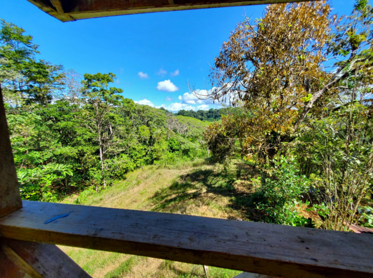 finca-caballo-blanco-pavones