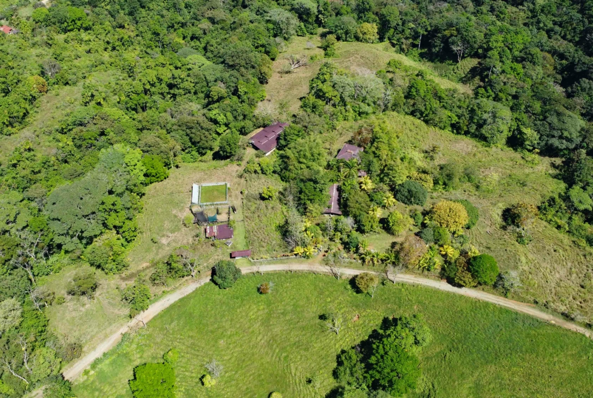 finca-caballo-blanco-pavones