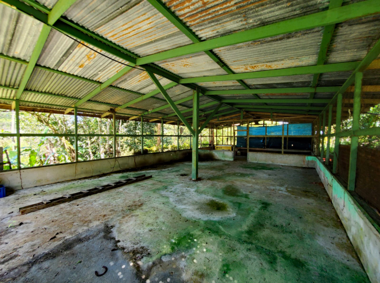 finca-caballo-blanco-pavones