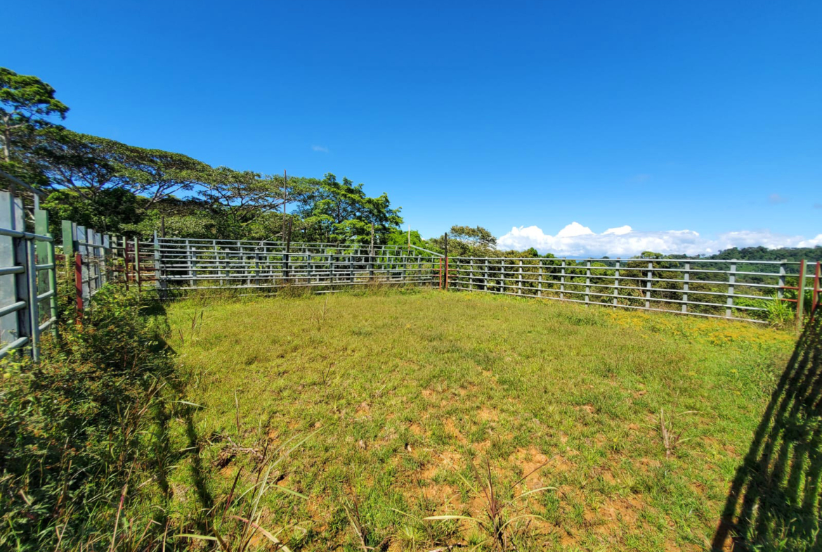 finca-caballo-blanco-pavones