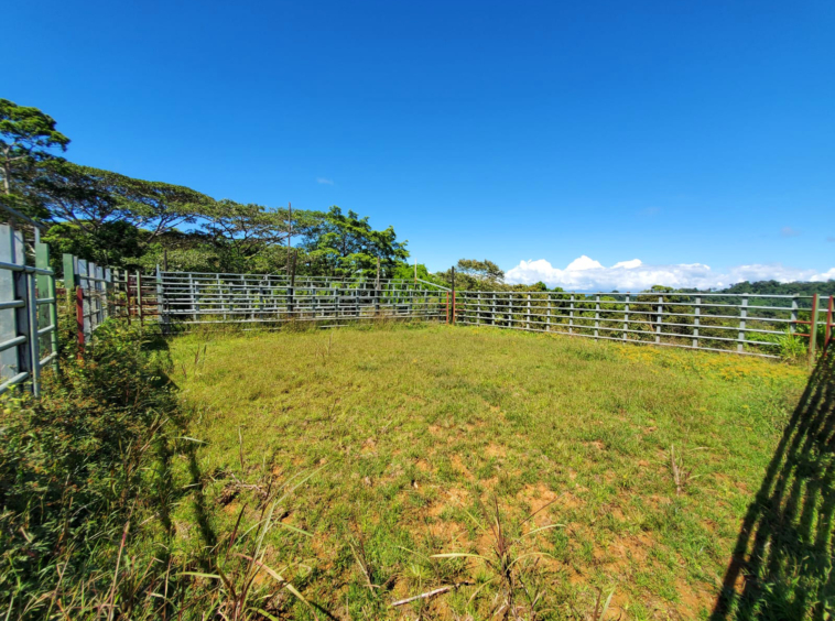 finca-caballo-blanco-pavones