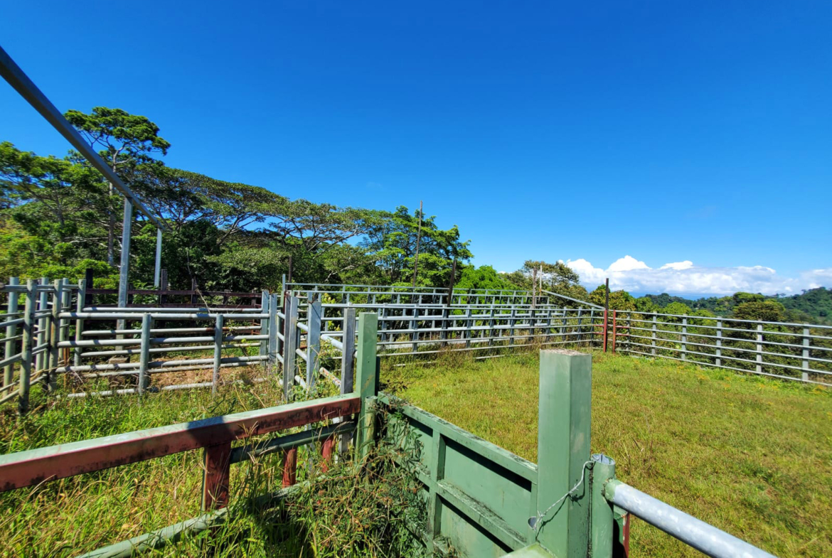 finca-caballo-blanco-pavones