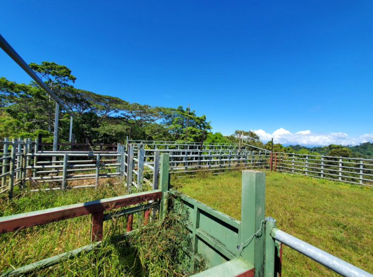 finca-caballo-blanco-pavones