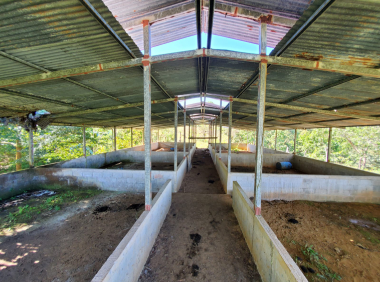 finca-caballo-blanco-pavones